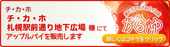 チ・カ・ホ札幌駅前通り地下広場にてアップルパイを販売します