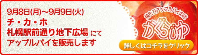 チ・カ・ホ札幌駅前通り地下広場にてアップルパイを販売します
