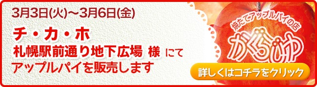 チ・カ・ホ札幌駅前通り地下広場にてアップルパイを販売します