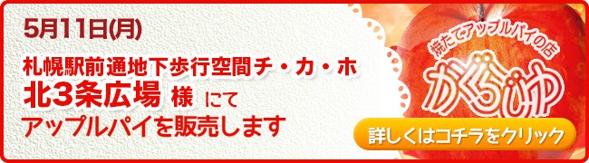 札幌駅前通地下歩行空間チ・カ・ホ北3条広場様にてアップルパイを販売します