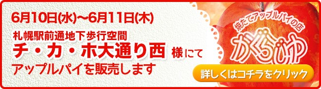 札幌駅前通地下歩行空間チ・カ・ホ大通り西様にてアップルパイを販売します